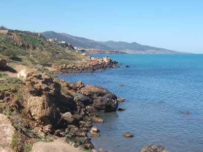 la petite plage des abattoirs o� se d�versent les �gouts de T�n�s 