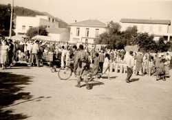 Le March� de T�n�s
----
en arri�re fond G�D
Le caf� CANO
La Maison XICLUNA
Le Caf� MOTARD
----
en arri�re plan, � droite:
Une Maison CAMILLERI
