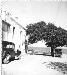 Maison de Mme EGRETEAUD
� la pointe des Blagueurs
----
Le vieux caroubier, pench� par le vent d'Est, n'existe plus...