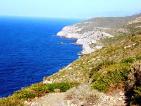 Piste de la cale G�noise , vue sur les falaises orientales du cap 
----
il y avait un courant terrible