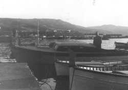 le bateau "VENUS"
de la Famille CAMILLERI
en 1960