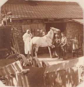 Village de RENAUT
----
Kl�ber CAUMARTIN
qui tient la bride du cheval
apprend le m�tier