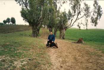 Le Chemin du Cimeti�re
� Cavaignac