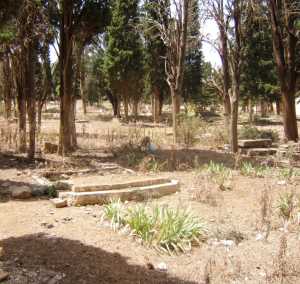 Le Cimeti�re Chr�tien de T�n�s en 2008