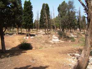 Le Cimeti�re Chr�tien de
T�n�s en 2008
