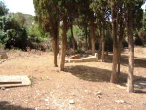 Le Cimeti�re Chr�tien de
T�n�s en 2008