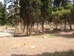 Le Cimeti�re Chr�tien de
T�n�s en 2008 