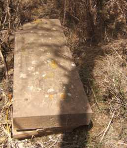 Tombe X 
