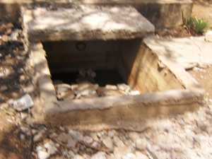 Tombe X 