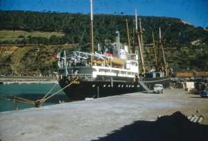 le Cargo "TENES" le 18 Janvier 1960
----
La Maison COULIN � la pointe du Cargo
et la voiture gar�e devant la passerelle est une P60 BLEUE 
appartenant � Henry MARINI