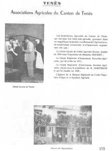 Associations Agricoles
de TENES