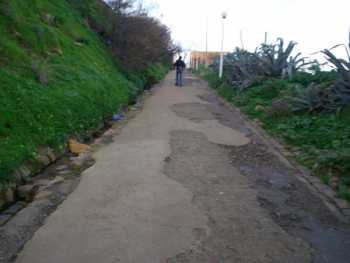 La Grimpette
� droite : les Agaves g�antes