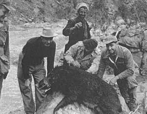 1953 - Un beau sanglier bien de chez nous !
----
Victor LOISON
Henri BEAUSSIER
Basile JONET
Jean-Pierre BERGONZOLI

� l'arri�re
Mohamed DERROUAZE

----
 Le CALECON  