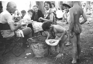 1963
----
Pique Nique des Chasseurs
� BOUCHERAL
5 sangliers au tableau
----
No�l TORDO ram�ne des figues de Barbarie