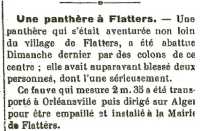 Le Progr�s du 23/03/1922
----
la Panth�re de Flatters