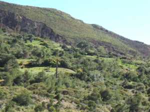 Carri�re de gravier 
de Sidi M�rouane
au Cap T�n�s
