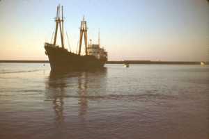 Le "VILLE de TENES"
dans le bassin du port