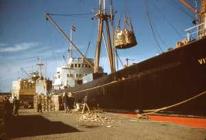 d�chargement du VILLE de TENES au port de T�n�s en 1960