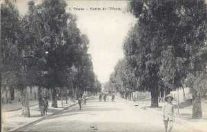 Rue d'Orl�ansville 
(ou rue Paul DOUMER)
Ann�es 1900