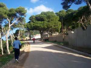 route vers le phare de T�n�s
route des villas