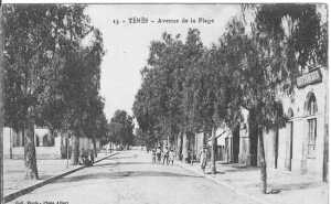 Tr�s vieille photo de l'Avenue du centre puis de la plage et qui deviendra l'avenue Cl�menceau
Elle d�bouchait sur la porte de la Marine