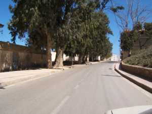 route qui m�ne de la cave 
"village carton " 
au port derri�re l'ancien 
stade de T�n�s
----
au 1er plan: maison de PITOLETE
au fond: le bar de CACCIUTOLO
� cot� du stade