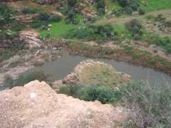 l'Oued Allala 
vu du Vieux T�n�s