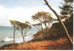 Plage anglaise juste apr�s le port
la villa Paulette est juste en haut 
