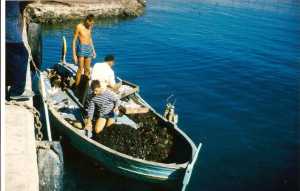 PEREZ Crescent (P�re)
et ses 2 fils
----
Debout sur le quai Benhamou Abdelkader dit L'OURSO - Marchand de Poissons � T�n�s (1916-1993)
----
PEREZ Crescent P�re �tait Marin-P�cheur
et Capitaine du Port de T�n�s