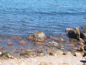 Crique entre l'Abbatoir 
et le tombeau ph�nicien