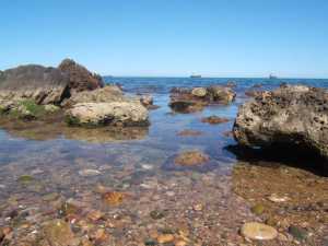Crique entre les abbatoirs et le Tombeau Ph�nicien