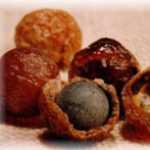 les Boules de Sapindus
----
Explications sur 
  le site de BOUGIE  