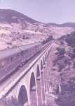 le Train Inox dans le Zaccar