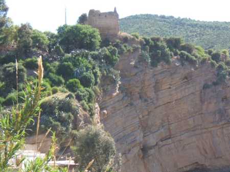 Vieux T�n�s
Vestiges du Vieux Palais