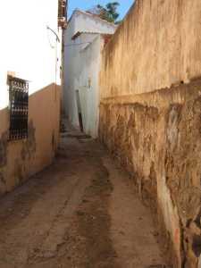 Vieux T�n�s