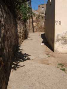 Vieux T�n�s
