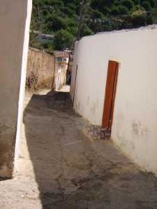 Vieux T�n�s