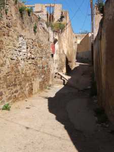 Vieux T�n�s