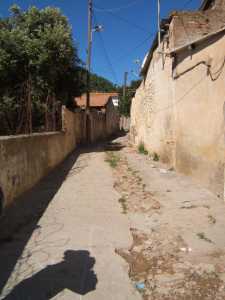 Vieux T�n�s