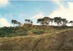 La Poudri�re
----
Photo prise de la petite plage du rocher de Reich,en haut, les remparts nord de T�n�s, la saillie correspond � l'aboutissement de la rue de l'Arsenal