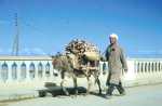 La travers�e du pont
de l'Oued Allalah
par Si Allel KHAROUBI et son Bourricot
