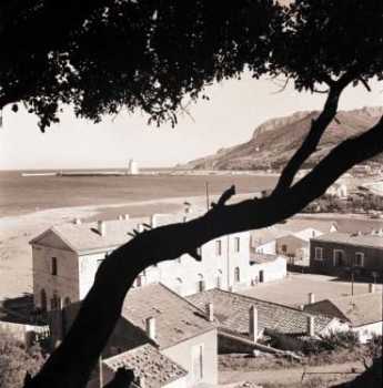 le batiment de la Douane
photo prise de la grimpette sous le caroubier de la Grimpette pench� par le vent d'Est
